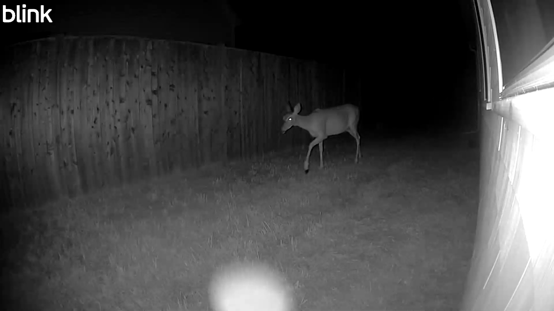 20250804_024515_East.mp4 Thumbnail