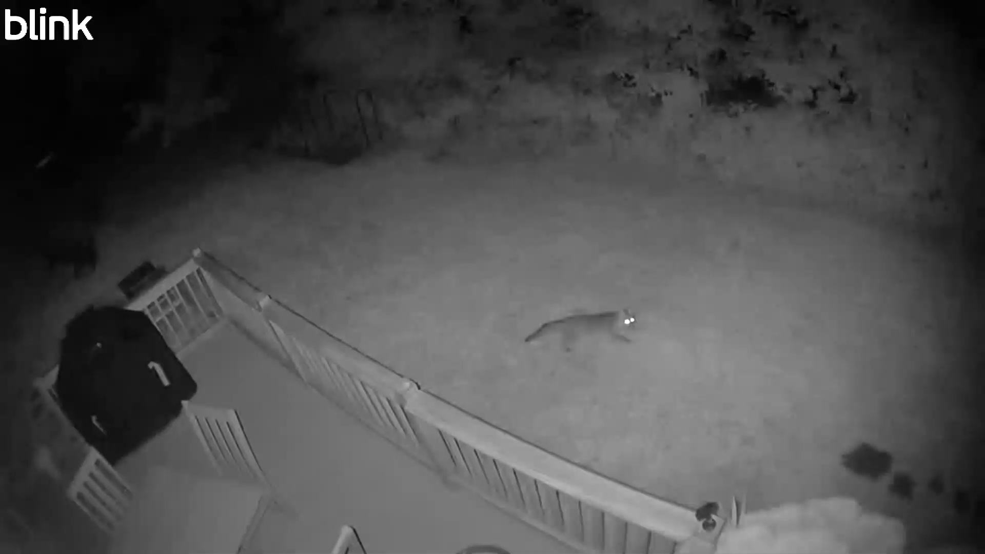 20250805_030956_WestUpper.mp4 Thumbnail