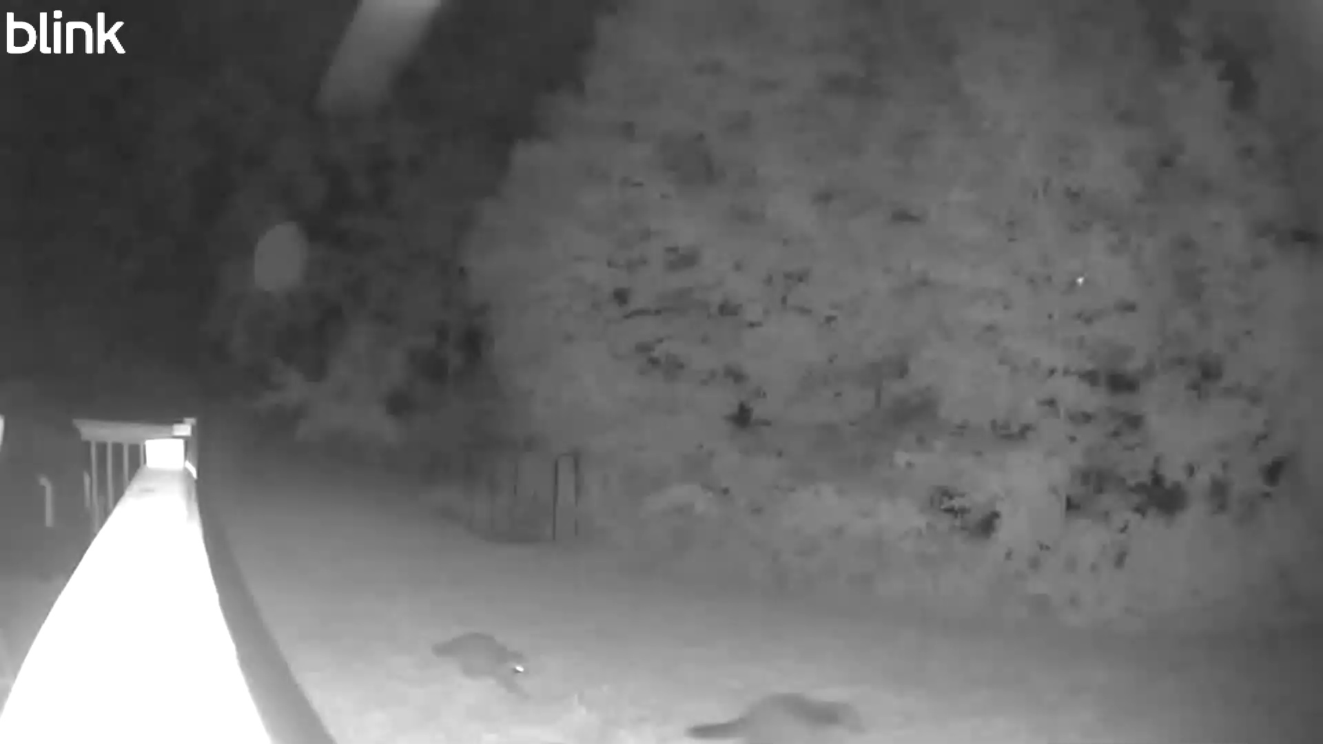 20250806_010027_WestLower.mp4 Thumbnail