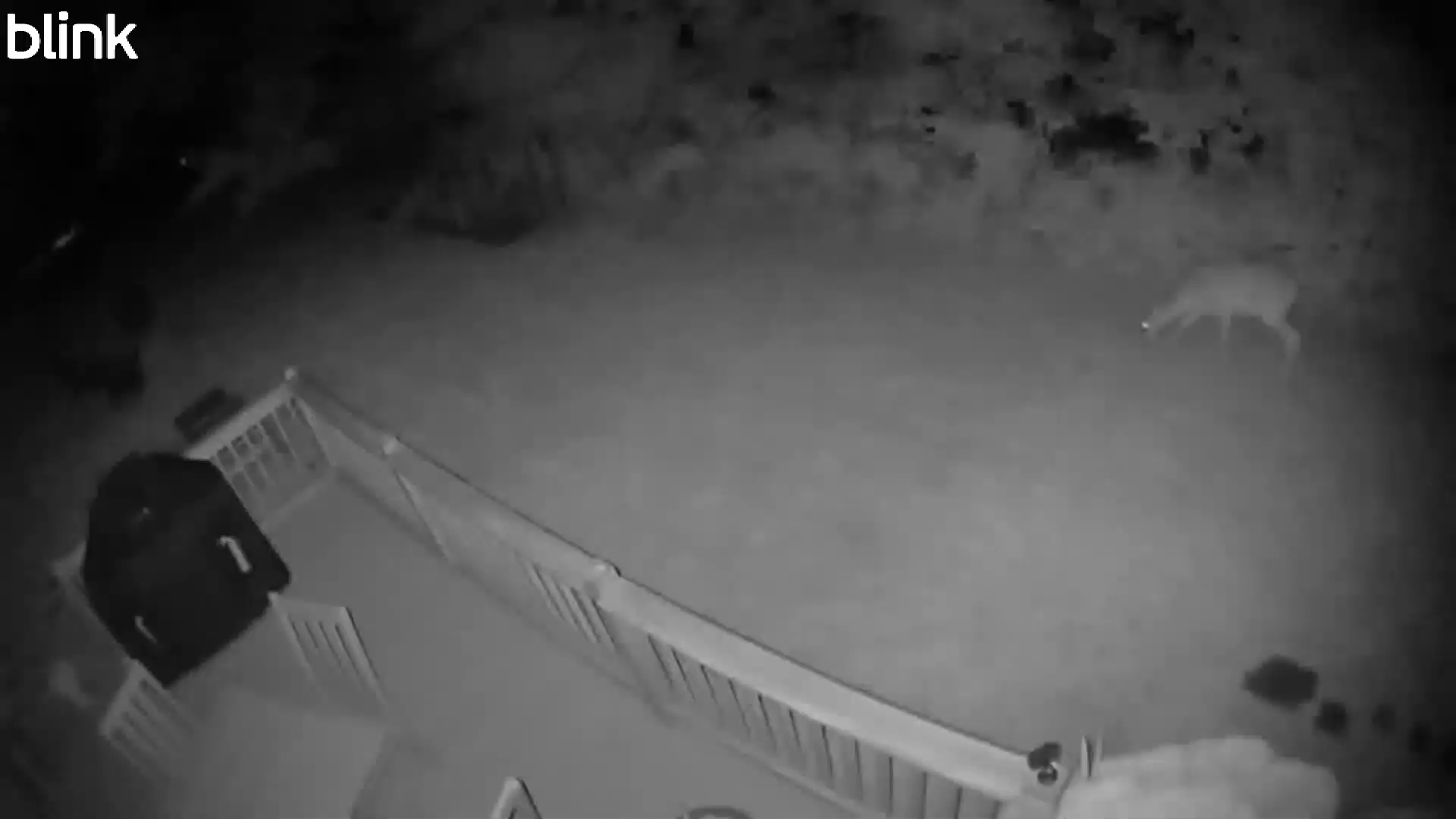 20250806_232936_WestUpper.mp4 Thumbnail