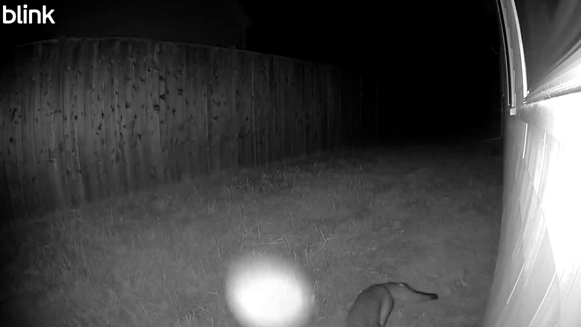 20250808_000404_East.mp4 Thumbnail