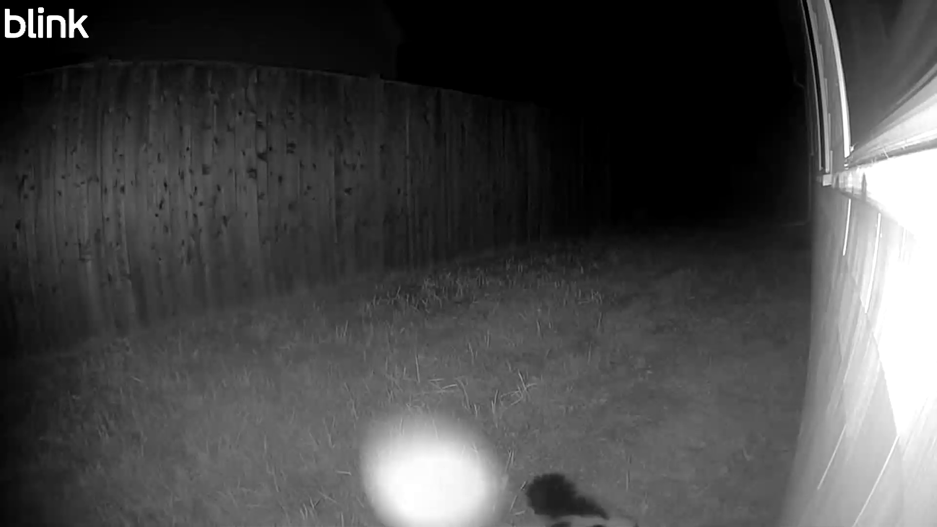 20250808_024622_East.mp4 Thumbnail