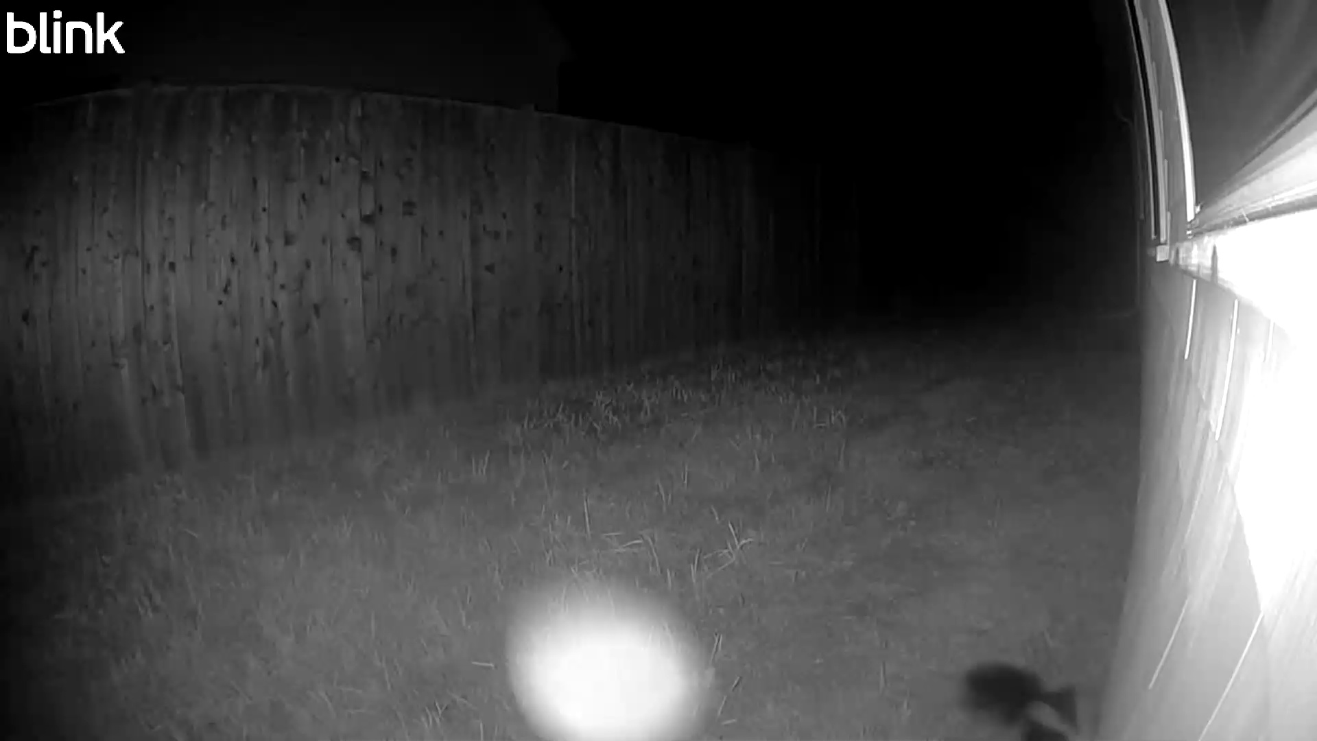 20250808_031707_East.mp4 Thumbnail