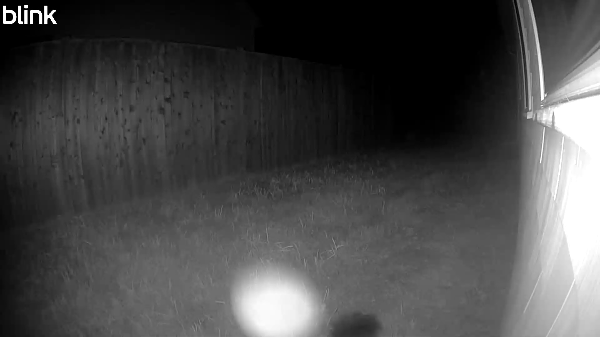 20250808_034325_East.mp4 Thumbnail