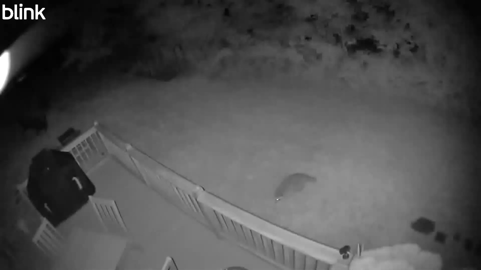 20250809_011155_WestUpper.mp4 Thumbnail