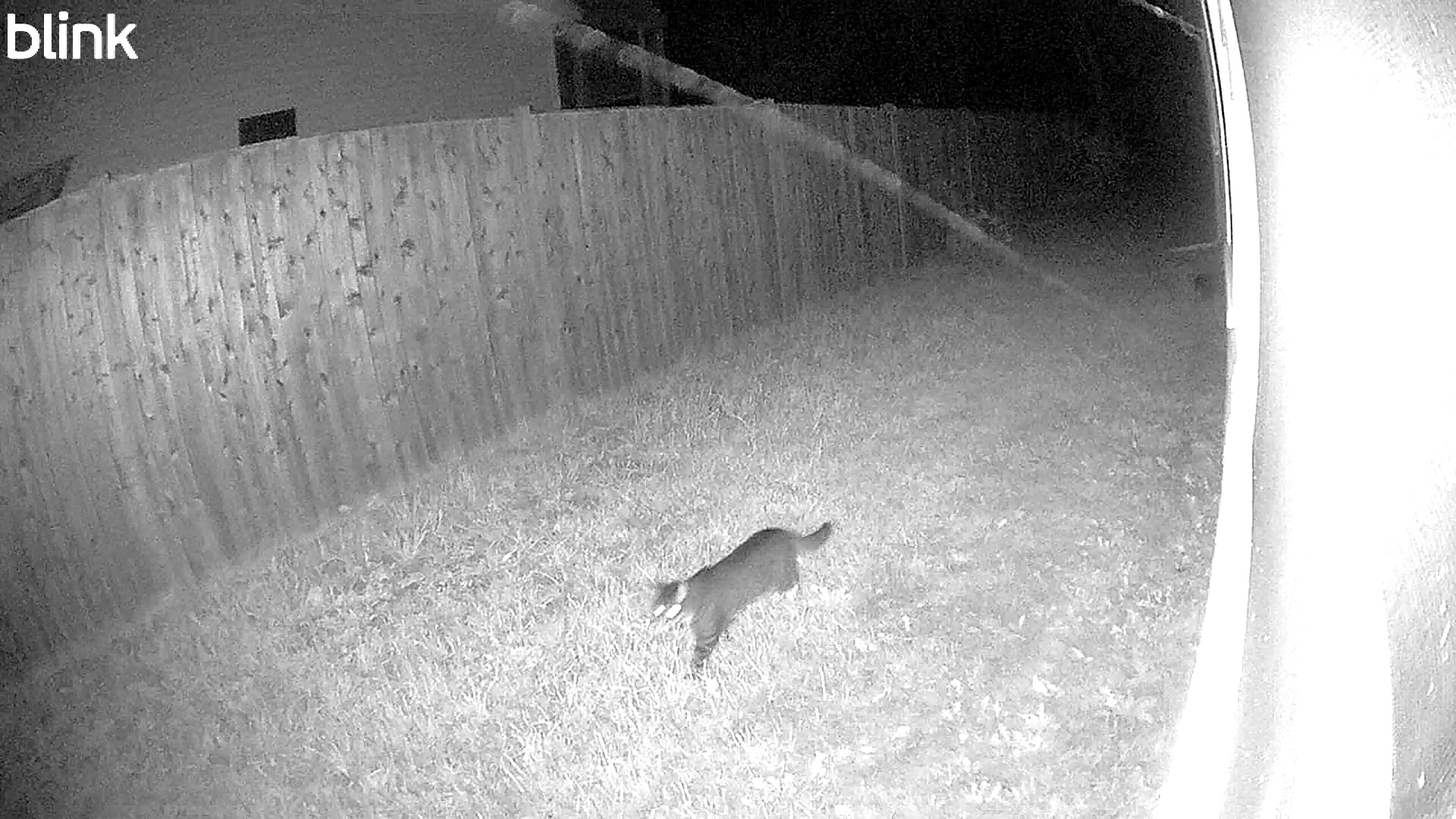 20250924_052421_East.mp4 Thumbnail