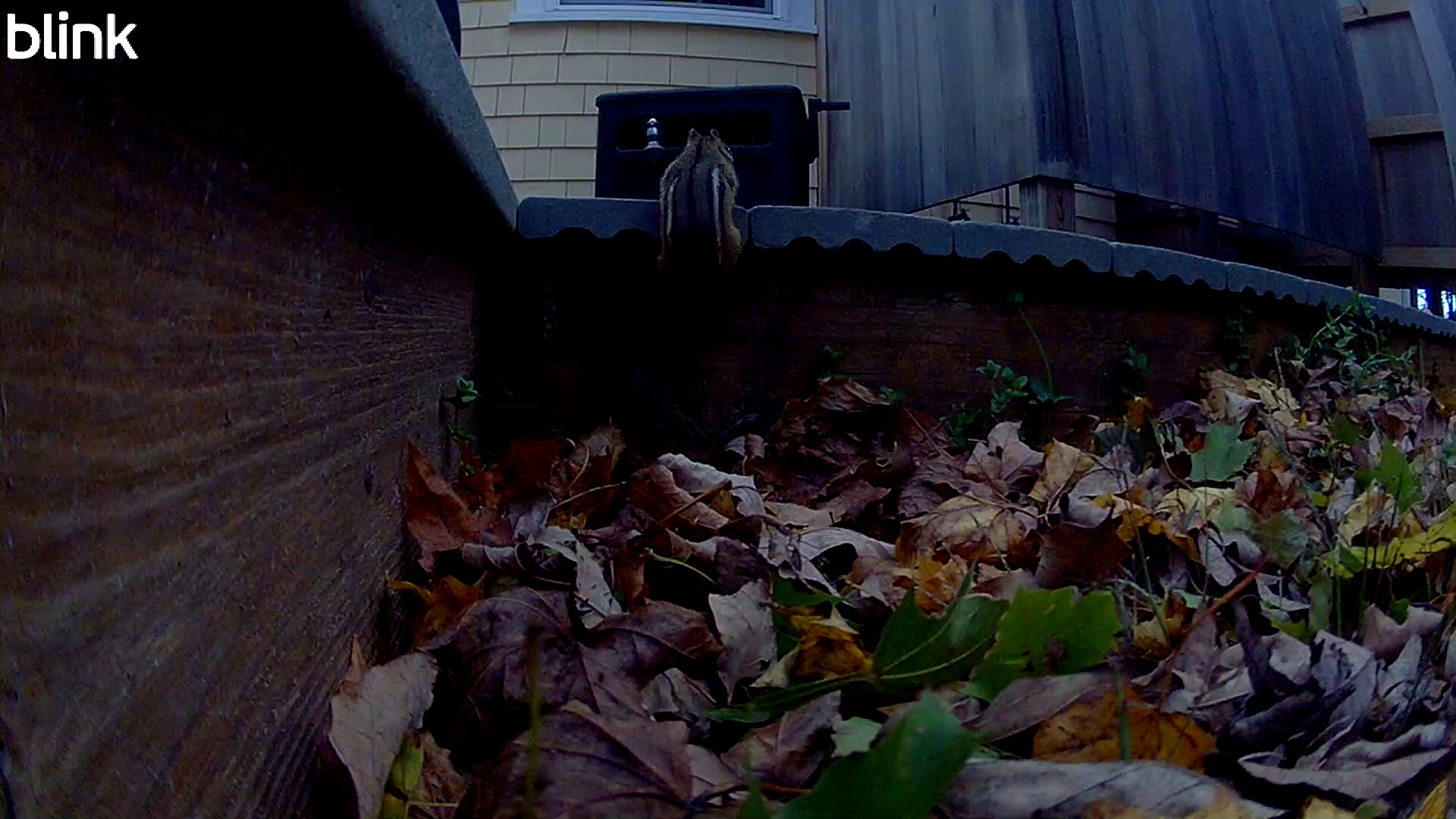 20251023_105917_RabbitHole.mp4 Thumbnail