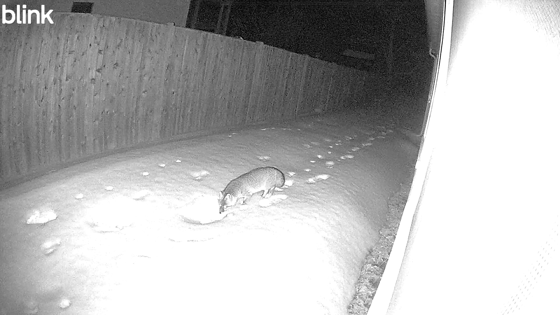 2026-02-16 - 03:25:14 - "East" Thumbnail