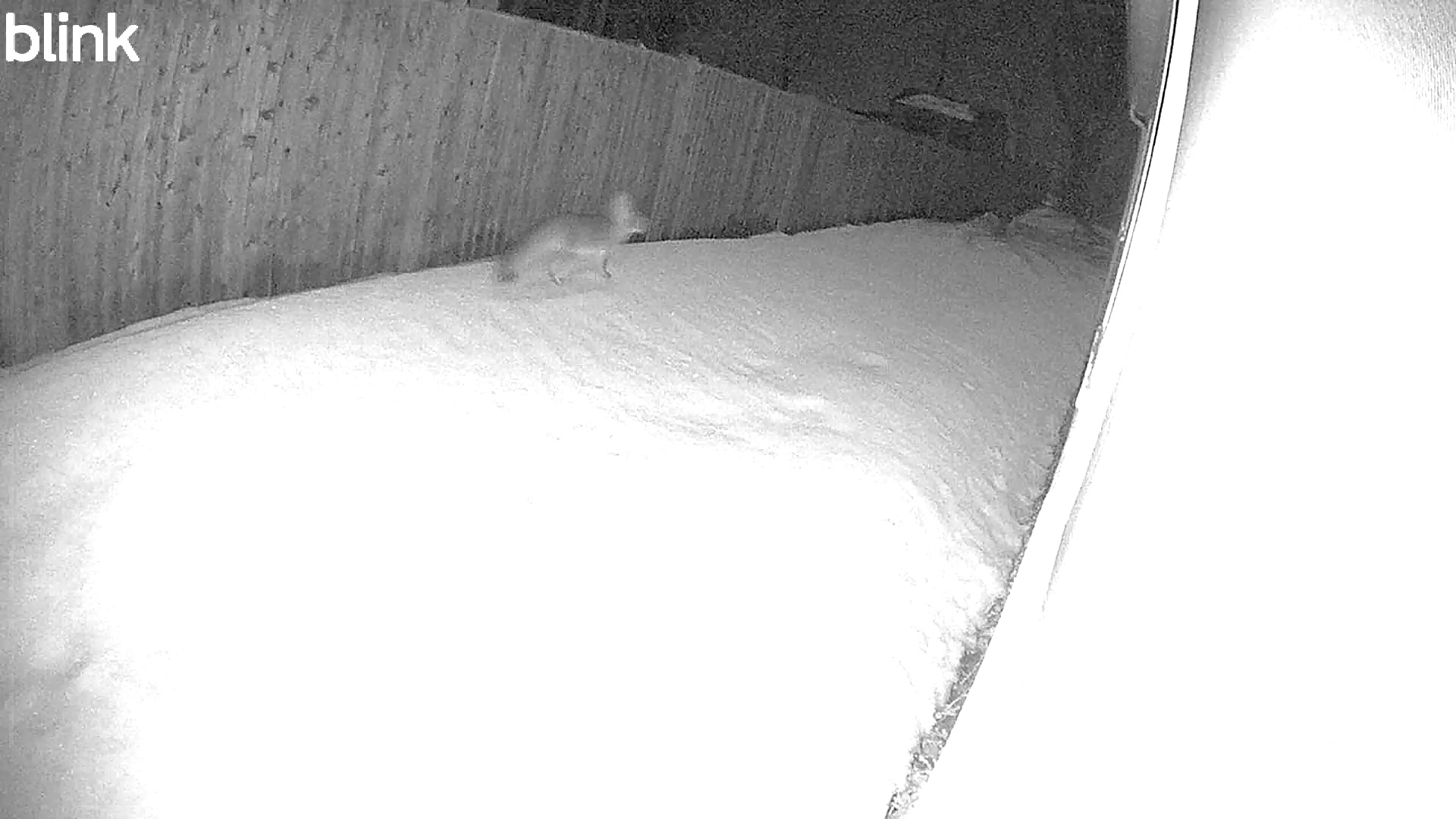 2026-03-01 - 21:54:06 - "East" Thumbnail