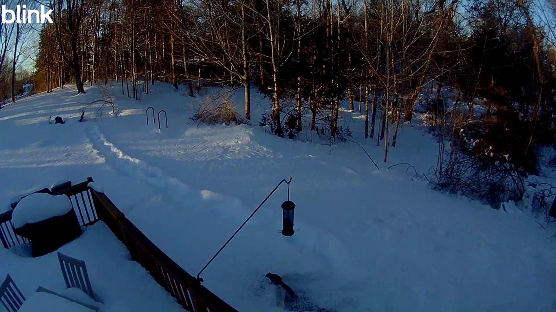 2026-03-02 - 06:58:35 - "WestUpper" Thumbnail