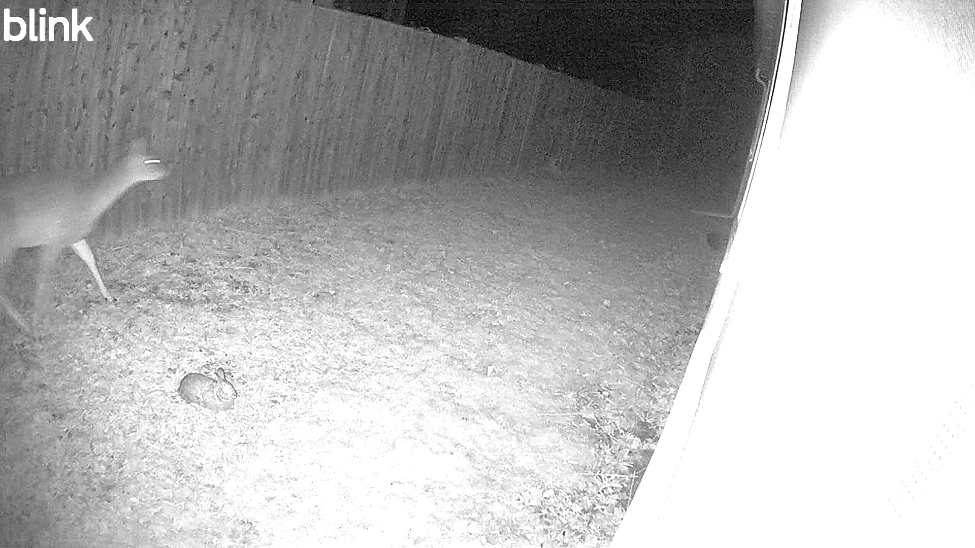 2026-03-25 - 01:53:50 - "East" Thumbnail