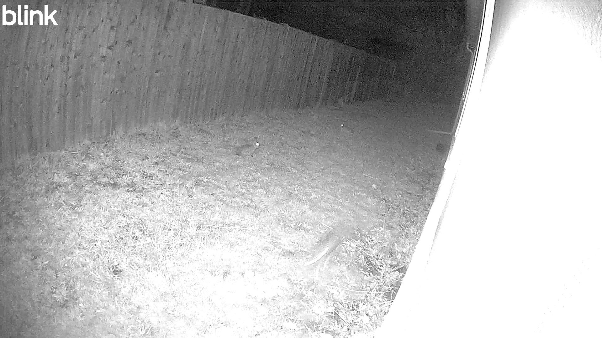 2026-04-06 - 03:52:17 - "East" Thumbnail