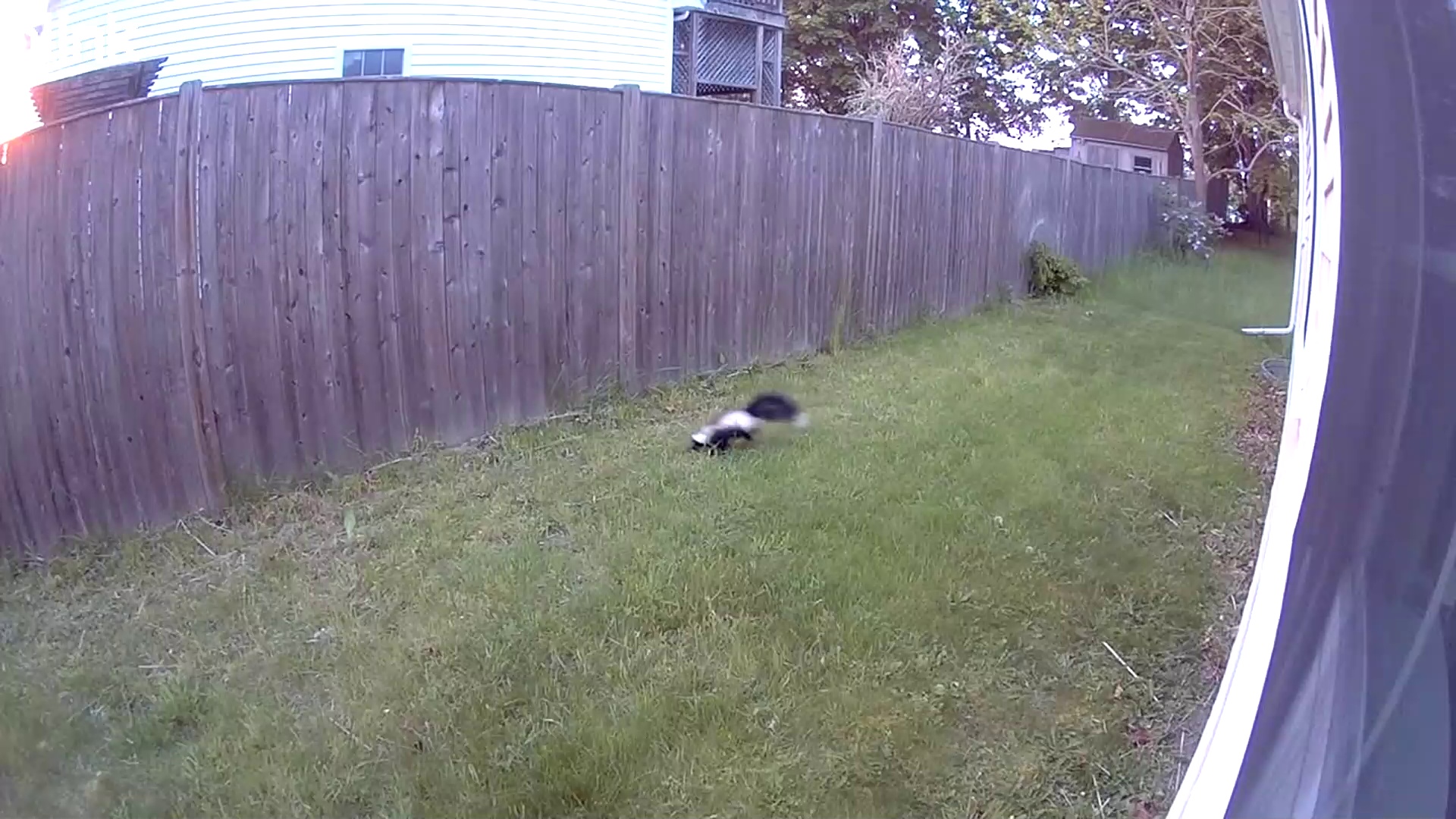 2026-05-23 - 05:07:41 - "East" Thumbnail